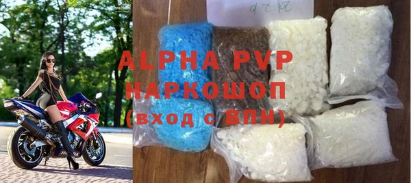 ГАЛЛЮЦИНОГЕННЫЕ ГРИБЫ Бородино